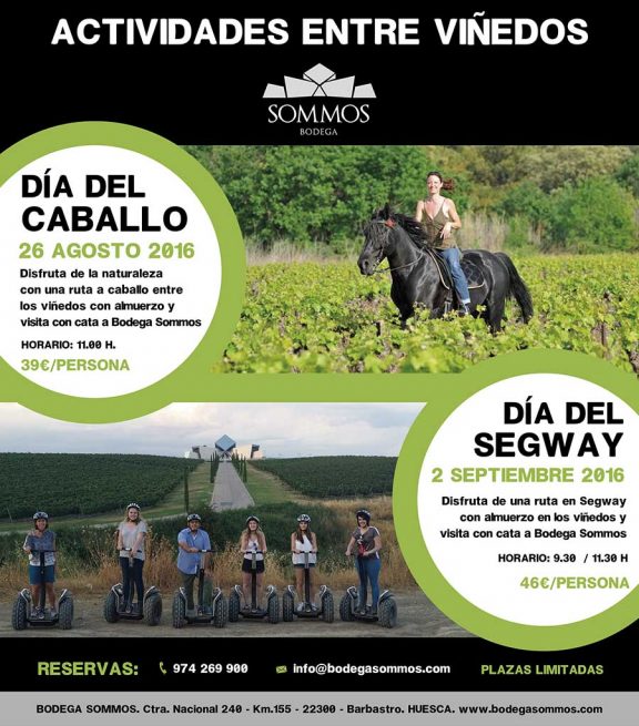 ACTIVIDADES ENTRE VIÑEDOS