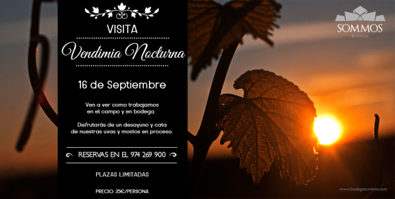 Visita Vendimia Nocturna