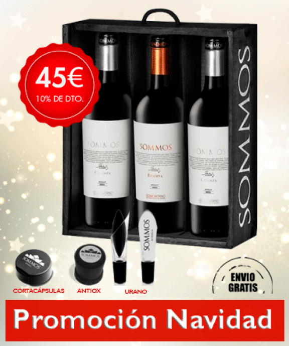 Promoción Navidad Sommos