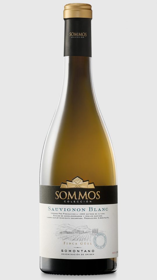 SOMMOS COLECCIÓN SAUVIGNON BLANC