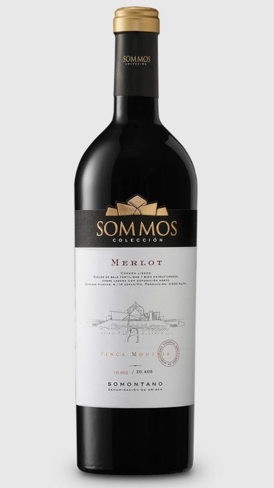 SOMMOS COLECCIÓN MERLOT
