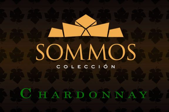 Descubre SOMMOS Colección Chardonnay