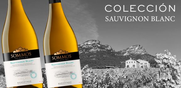 Nuevo SOMMOS Colección Sauvignon Blanc