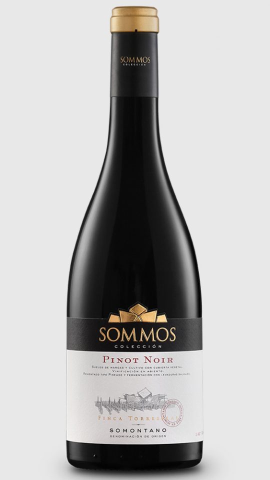 SOMMOS COLECCIÓN PINOT NOIR