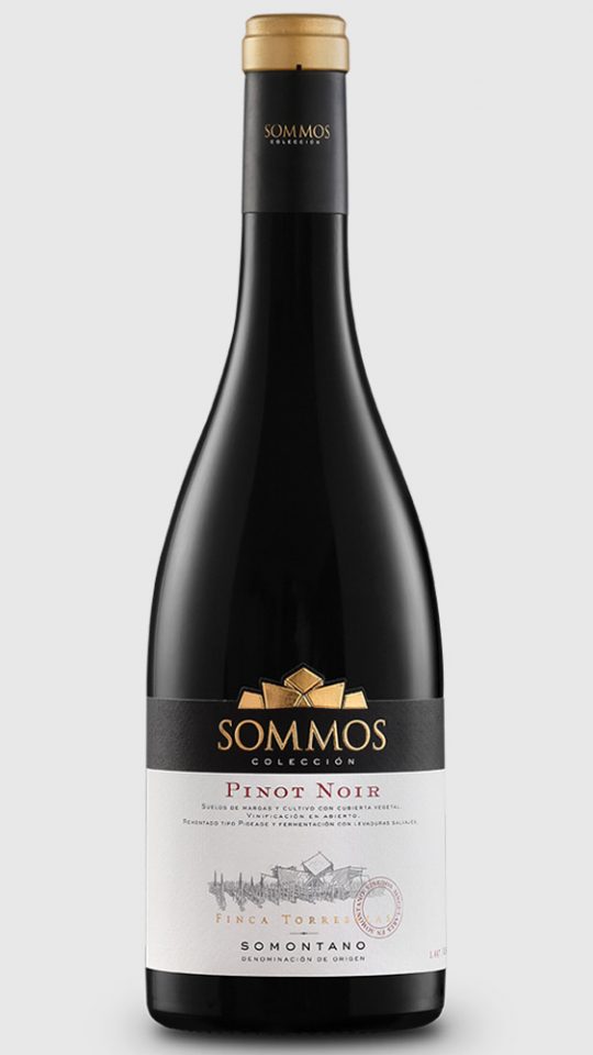 SOMMOS Colección Pinot Noir - Bodega SOMMOS