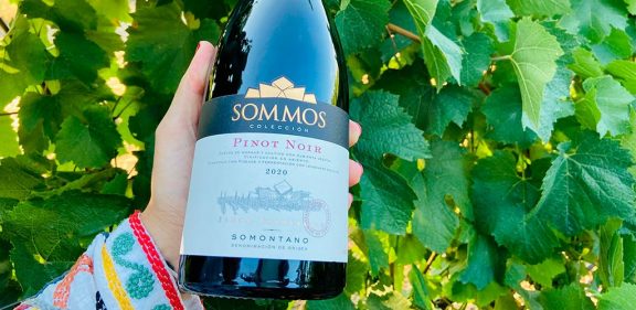 Bodega SOMMOS lanza su nuevo Colección Pinot Noir
