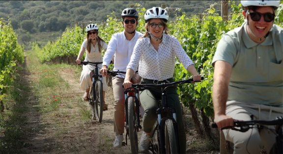 Las bicicletas son para el viñedo