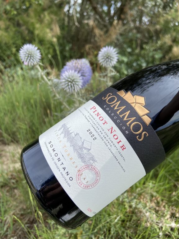 SOMMOS Colección Pinot Noir 2022, el vino tinto ideal para el verano