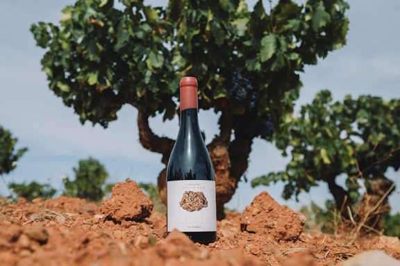 Araia, cuando la Garnacha habla a través de los suelos de arcilla.