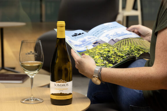 Todo lo que necesitas saber sobre los vinos blancos