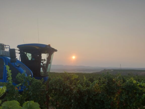 We begin the harvest season with innovations to optimize the quality of our grapes