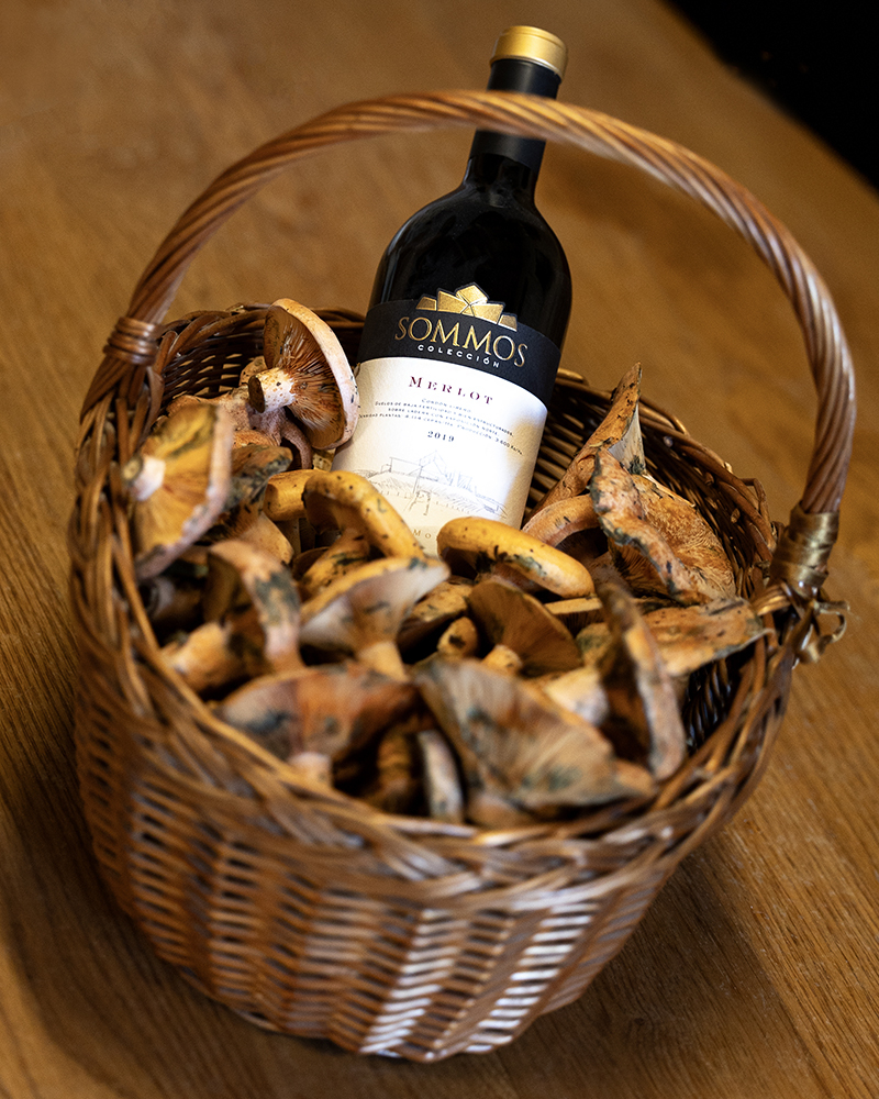 Cesta con setas y botella Merlot