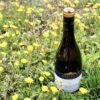 Día del Sauvignon Blanc
