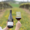 Sommos Colección Pinot Noir 2024