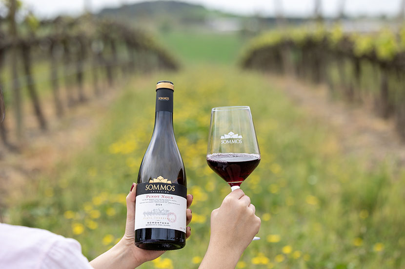 Sommos Colección Pinot Noir 2024