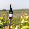 Añada 2020 de Sommos Colección Syrah