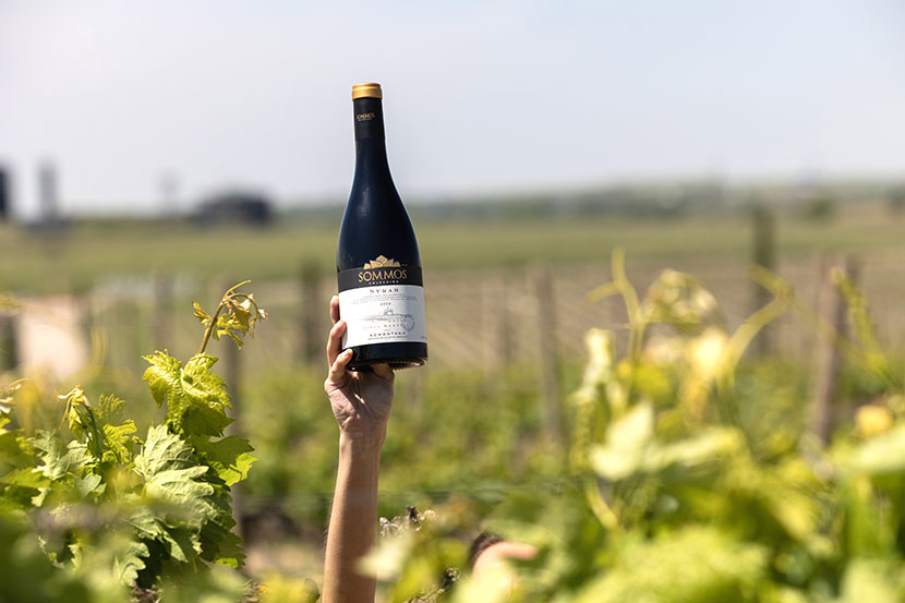 Añada 2020 de Sommos Colección Syrah