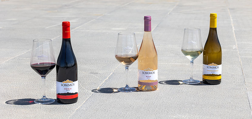 Botellas gama sommos