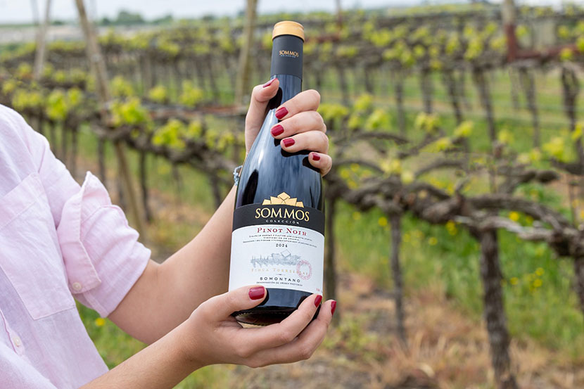 Pinot Noir