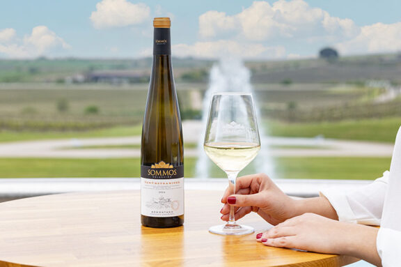 Ya tenemos disponibles 6 vinos diferentes de la añada 2024, ¿Quieres saber cómo son?