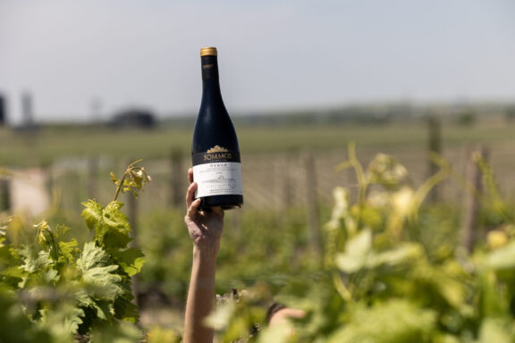 A vintage for the books. Discover the 2020 of Sommos Colección Syrah and Sommos Colección Cabernet Sauvignon