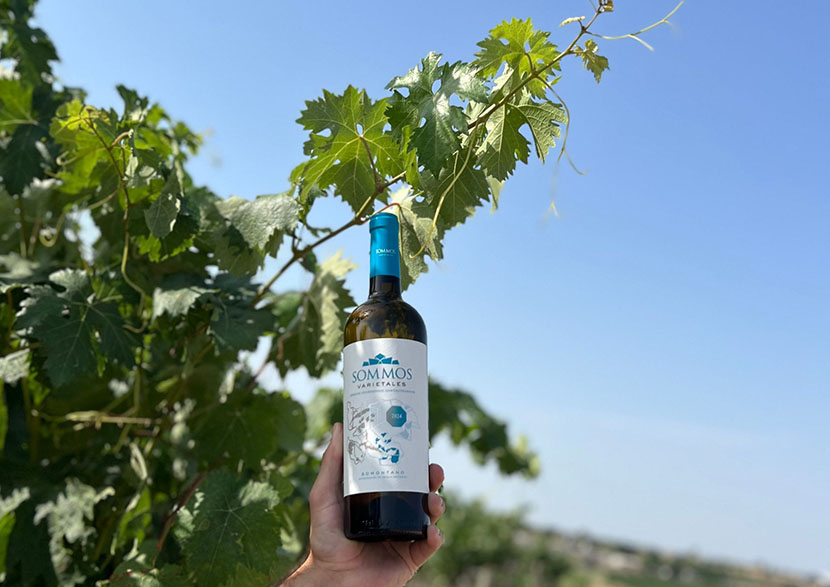 Sommos varietales blanco