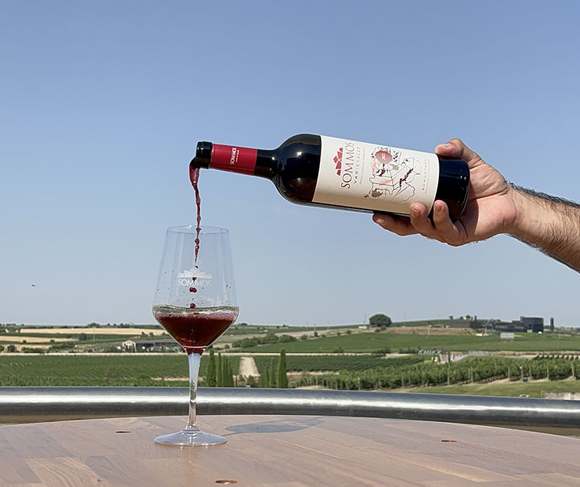 Sommos varietales tinto