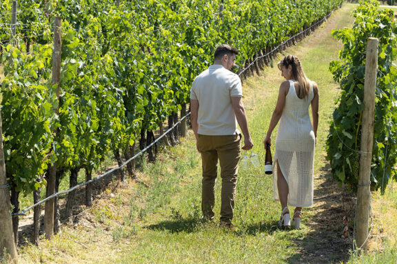 Vino, gastronomía y experiencias
