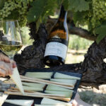 Un maridaje que no te esperabas: vinos blancos y quesos