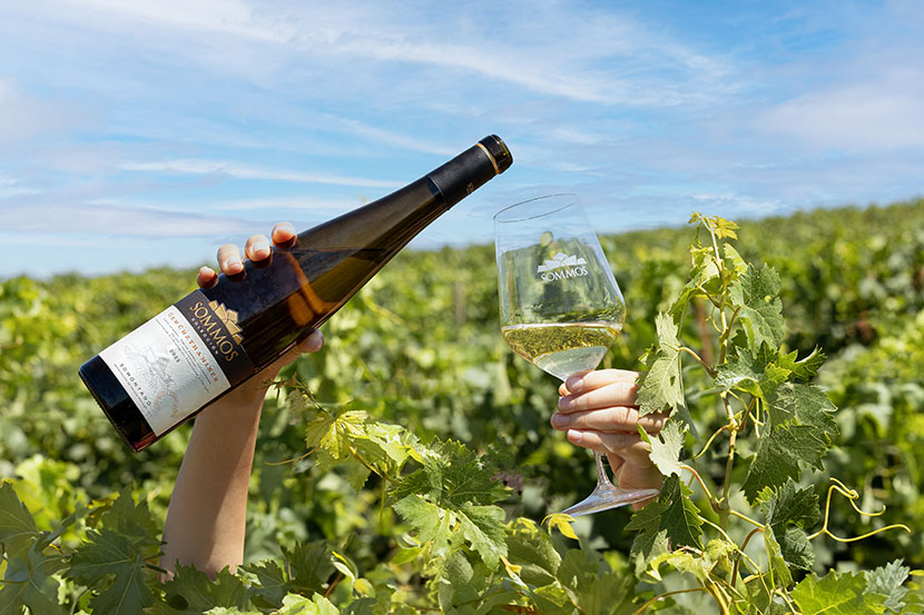 Sommos Colección Gewürztraminer