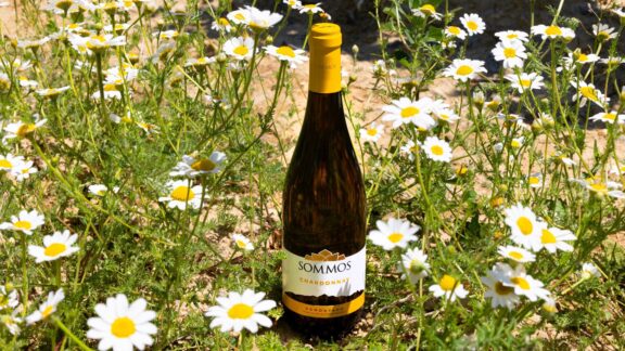 Sommos Chardonnay 2025: la elegancia de una vendimia temprana