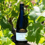 Celebramos el Día Internacional de la Syrah con uno de nuestros vinos más icónicos.