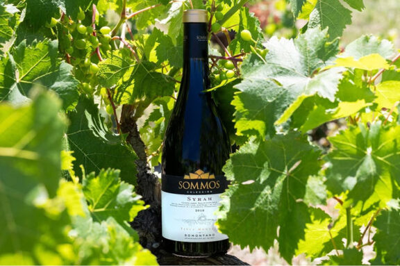 Celebramos el Día Internacional de la Syrah con uno de nuestros vinos más icónicos.