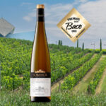 Medalla de Oro para Sommos Colección Gewürztraminer 2025 en los Premios Baco 2026